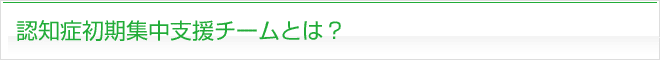 認知症初期集中支援チームとは?