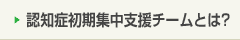 認知症初期集中支援チームとは?