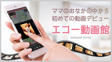 エコー動画サイト