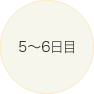5～6日目
