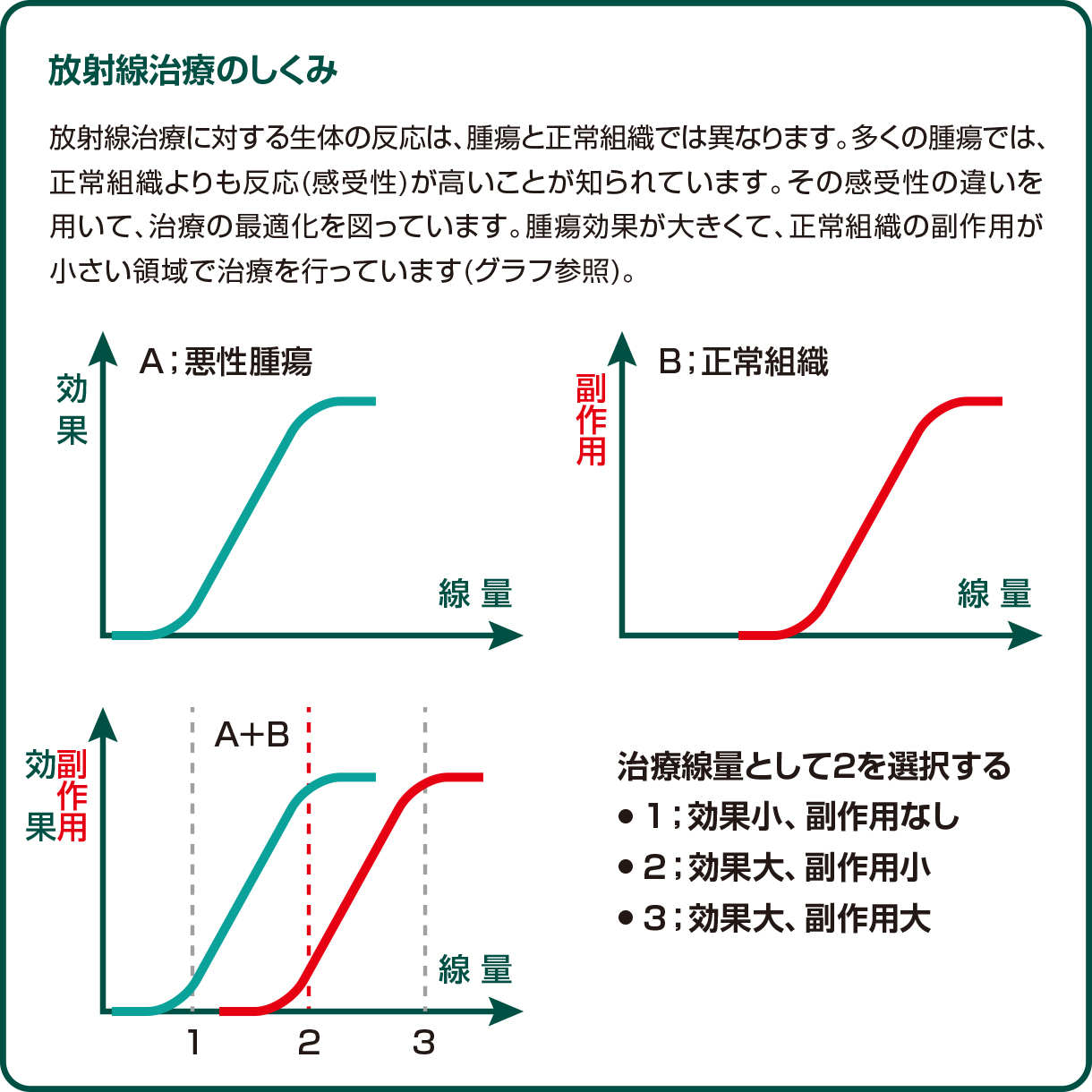 放射線治療のしくみ